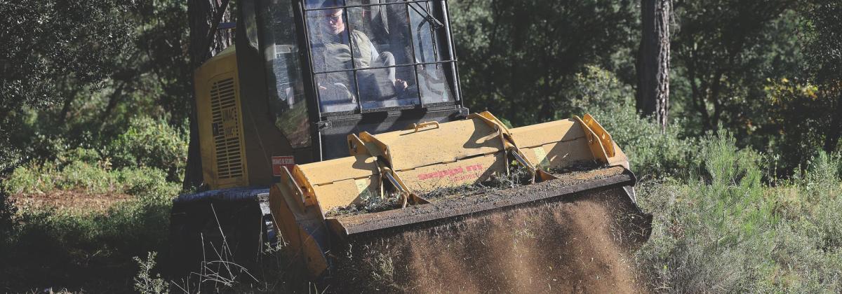 Engin forestier jaune et noir en action, projetant de la terre et des végétaux broyés sur un chemin dans une zone boisée.