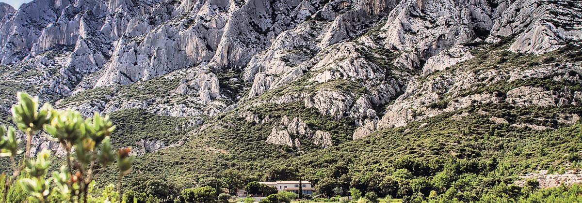 la colline sainte-victoire, paysage typique provençale, mélé d'arbre et de roche blanche
