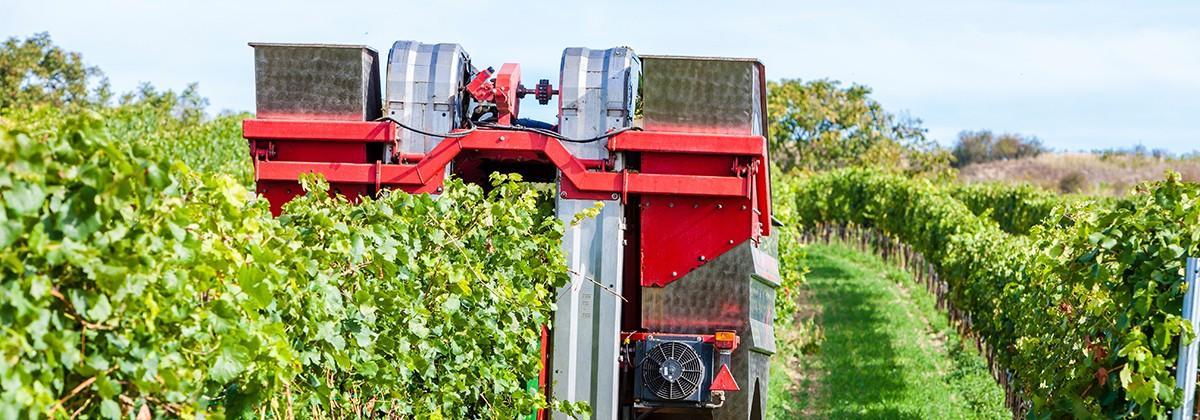 Photo d'une moissonneuse de vendanges