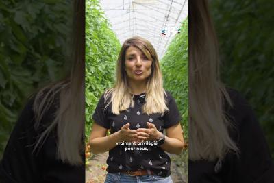 Rencontre avec Camille, maraîchère bio à Saint-Rémy-de-Provence - Lire la vidéo 6 sur 9, fenêtre modale