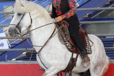 Cavalière de Camargue en démonstration au premier salon Préférence Provence - Agrandir l'image 22 sur 29, fenêtre modale