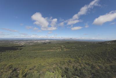 Une vaste étendue de forêt verdoyante s'étend sous un ciel bleu parsemé de nuages. À l'horizon, on distingue des montagnes et une ville ou un village en contrebas. - Agrandir l'image 1 sur 4, fenêtre modale