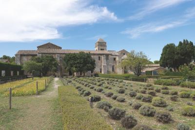 Vue extérieure d’un grand bâtiment en pierre avec une tour, entouré de jardins bien entretenus et de rangées de plantes. Le ciel est partiellement nuageux et des arbres bordent le site. L’ensemble évoque un lieu historique ou patrimonial dans un cadre naturel paisible. - Agrandir l'image 1 sur 6, fenêtre modale