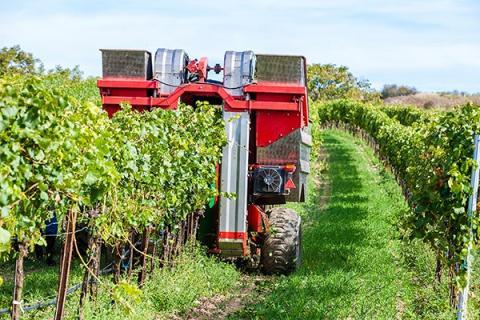 Photo d'une moissonneuse de vendanges